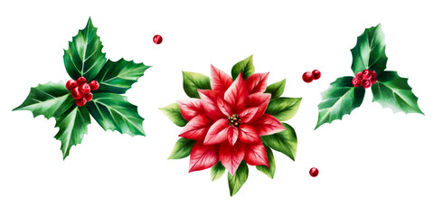 Watercolor set of christmas poinsettia and holly berry. New year botanical december symbol illustration isolated on white background. For designers, decoration, shop, for