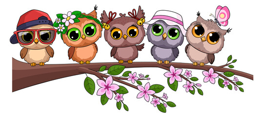 Funny owls sit on tree branch. Cartoon animals