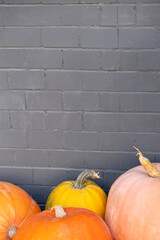 Large pumpkins on the background of a gray brick wall with copy space.