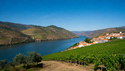 scenic view of the beautiful pinhao village surounded by vineyards in the beautiful douro river valley vila real district viseu district portugal - obrazy, fototapety, plakaty