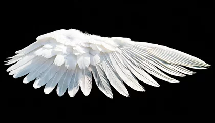 Fotobehang white angel wing isolated for design © Enzo