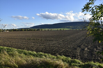 Natur bei Salzhemmendorf