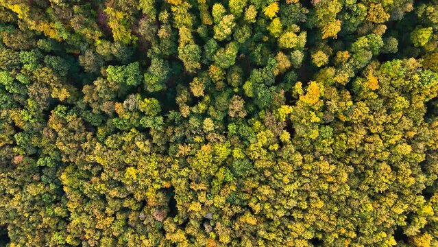 Aerial drone view medieval Lichtenstein castle on mountain, autumn Baden-Wurttemberg, Germany. High quality 4k footage
