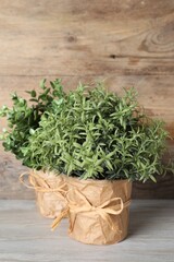Different artificial potted herbs on white wooden table