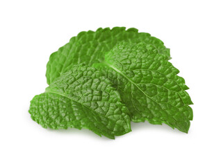 Fresh green mint leaves isolated on white