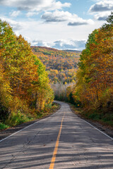 Naklejka premium Beautiful national park during the fall