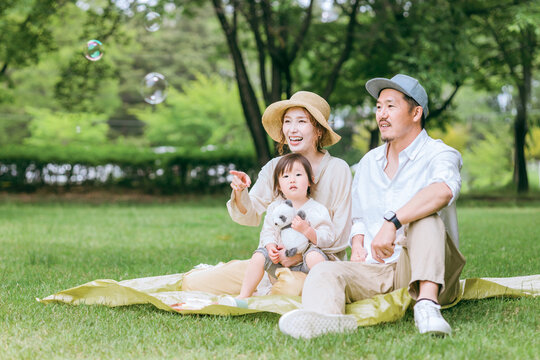 新緑の公園でピクニックする親子・家族（春・夏）
