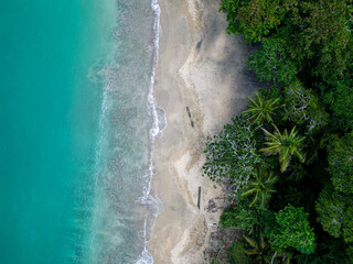 Aerial shot of the stunning beach Punta Uva, where the rainforest and palmetrees meet the turqouise ocean. 