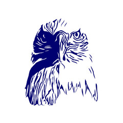 line sketch of an eagle's head as an element for making logos, activity symbols and organizational symbols