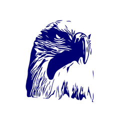 line sketch of an eagle's head as an element for making logos, activity symbols and organizational symbols