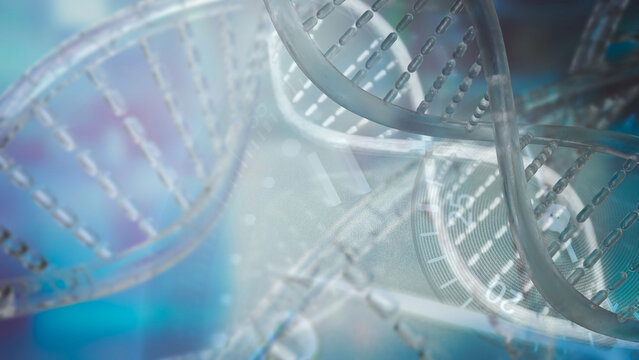 The DNA image for sci or education concept 3d rendering