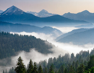 Misty mountain landscape 