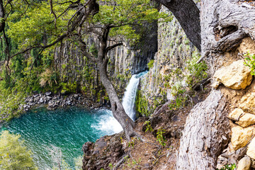 waterfall in the forest