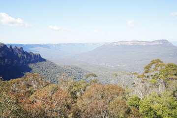 Naklejka premium Blue Mountains National Park in Australia - オーストラリア ブルーマウンテン 国立公園