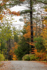 New England fall foliage 