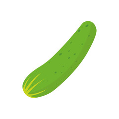 Cucumber. Cucumber on transparent  background.