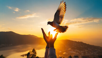 Silhouette pigeon return coming to hands in air vibrant sunlight sunset sunrise background. Freedom making merit concept. Nature animal people hope pray holy faith. International Day of Peace theme