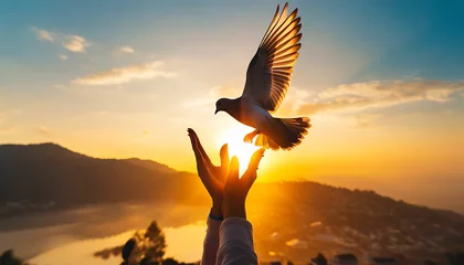 Foto op Aluminium Silhouette pigeon return coming to hands in air vibrant sunlight sunset sunrise background. Freedom making merit concept. Nature animal people hope pray holy faith. International Day of Peace theme © Donald