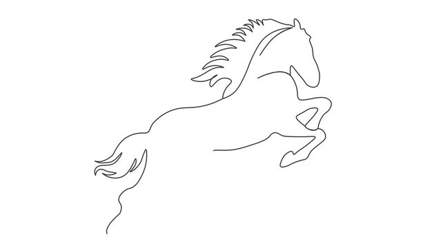 Continuous Line Drawing Unicorn Horse Jumping single line animation. 