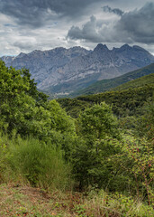 Fototapeta na wymiar Nature of Spain on the way to Picos de Europa National Park