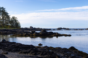Fototapeta na wymiar Rocky Shore on the Pacific Ocean Coast. Ucluelet, Vancouver Island, BC, Canada.