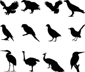 set of birds silhouettes