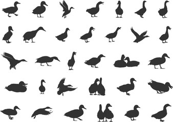 Duck silhouettes, Mallard duck silhouette, Mallard silhouette, Mallard svg, Flying duck silhouette, Duck hunting silhouette, Duck icon, Duck vector illustration.
