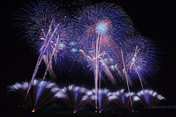 古河花火大会「素晴らしき光の世界・野村花火工業」