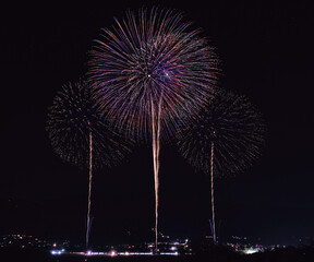 にし阿波の花火「メッセージ花火」