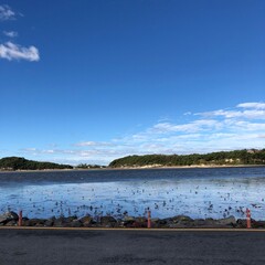 Beautiful Korean mudflat sea