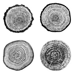 Tree stump circle rings. Wood log silhouette print.