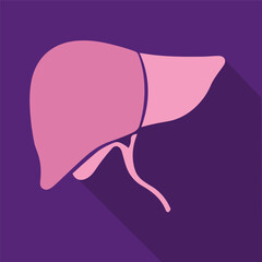  internal organ liver icon