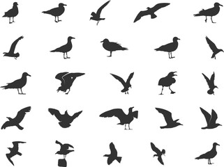 Seagull silhouettes, Flying seagull silhouette, Seagull vector, Seagull svg, Bird icon, Bird silhouettes