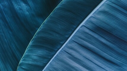 Stripes on blue leaf, close up