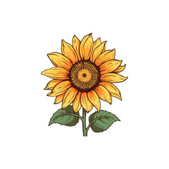 Fototapeta premium beautiful sun flower flat icon illustration. yellow sun flower 