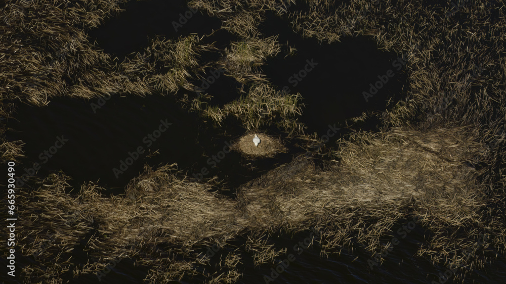 Poster riga, latvia - august 20 2023. an aerial view of a field of grass with a white object in the middle.