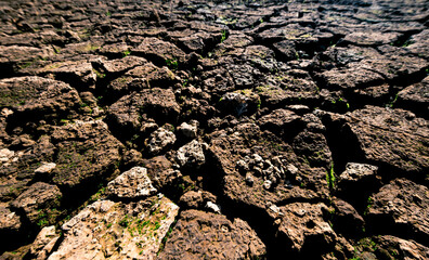 Cracked soil layer of a dried lake. Desertification, drought, climate crisis, ecological degradation. Soil drought. Deep cracks. Dried soil. Environmental protection. Selective focus.