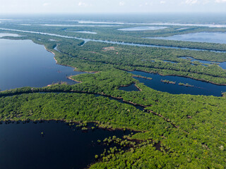 Beautiful aerial view to green amazon rainforest Anavilhanas islands