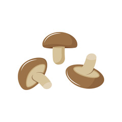 Vector illustration of shiitake mushrooms