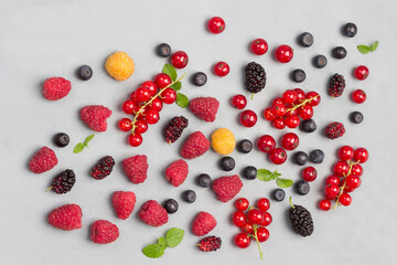 Still life of multi-colored berries on gray background. Red currants, raspberries red and yellow, blueberries green mint.