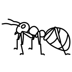 ant line icon