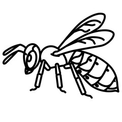 hornet line icon