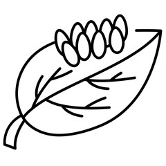eggs line icon