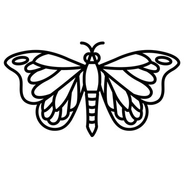 butterfly line icon