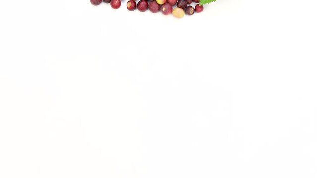 Top view of ripe grewia asiatica falsa fruit in plate