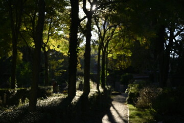 Dorotheenstädtischer Friedhof
