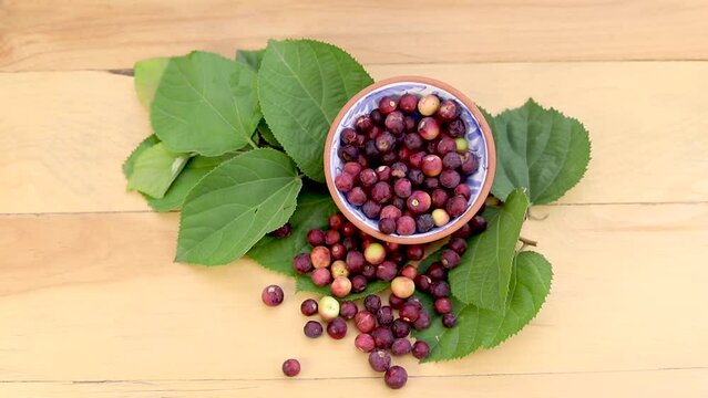 Grewia asiatica falsa fruit in wooden bowl