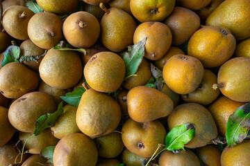 Fresh sweet organic pears with leaves in box  - autumn harvest fruits