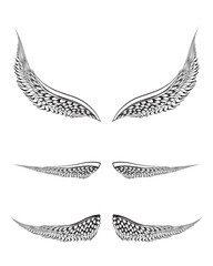 sketch illustration of a pair bird wings fronts and back views.