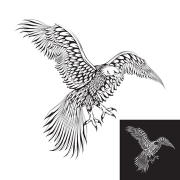 sketch illustration of a flying eagle flapping its wings.
attacks with its claws. side view.